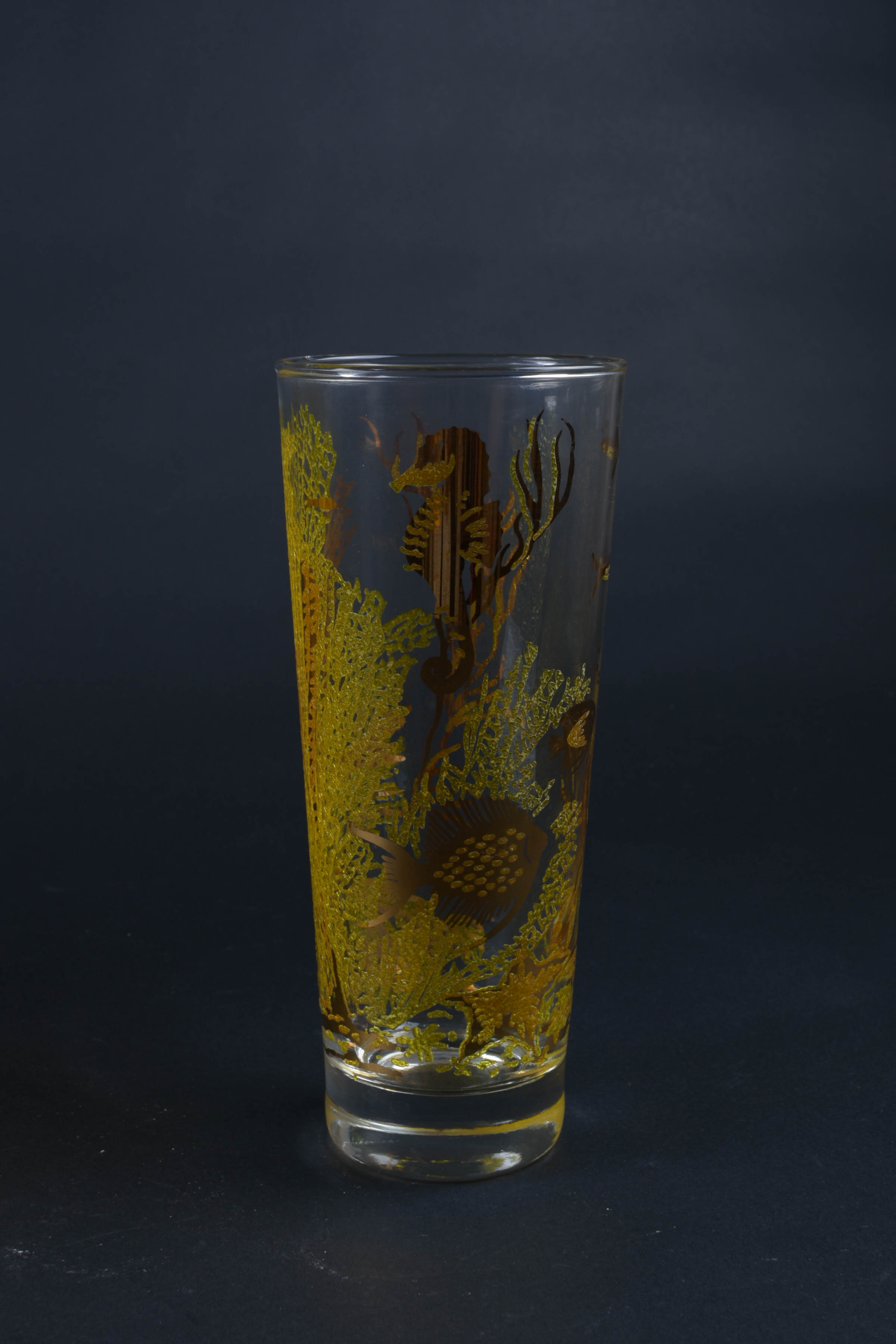 Vintage Aquatic Glasses