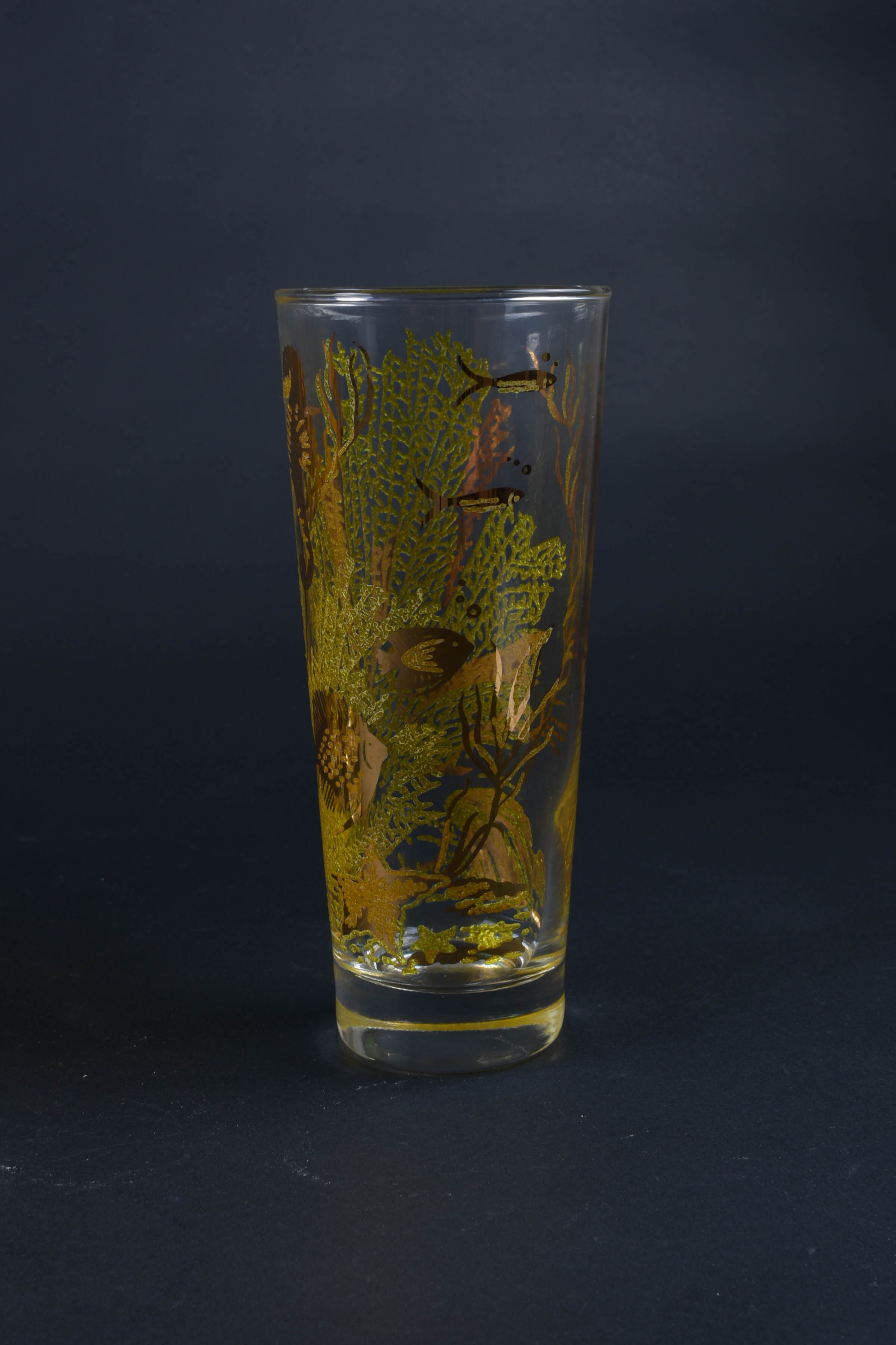 Vintage Aquatic Glasses