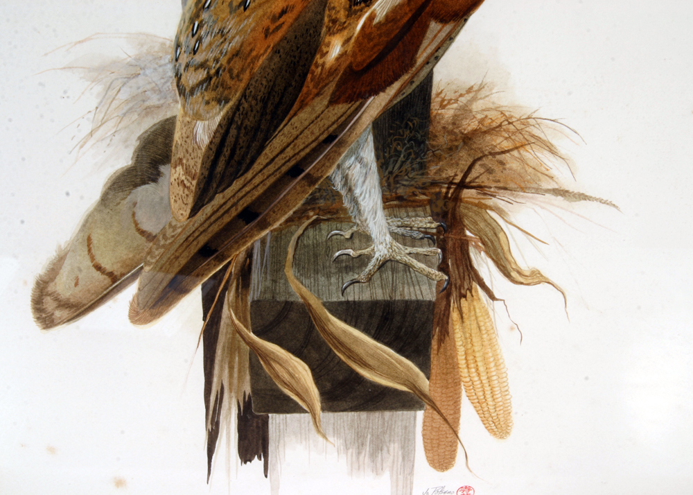 Signed, Original Watercolor of an Owl by Listed Artist Jo Polseno