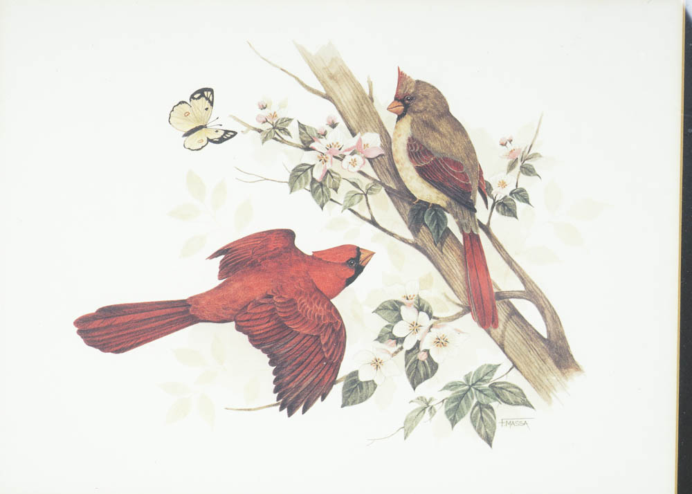 F Massa Framed Bird Print