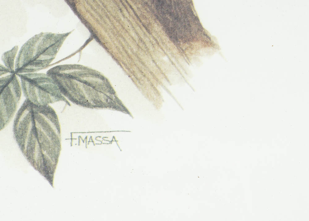 F Massa Framed Bird Print