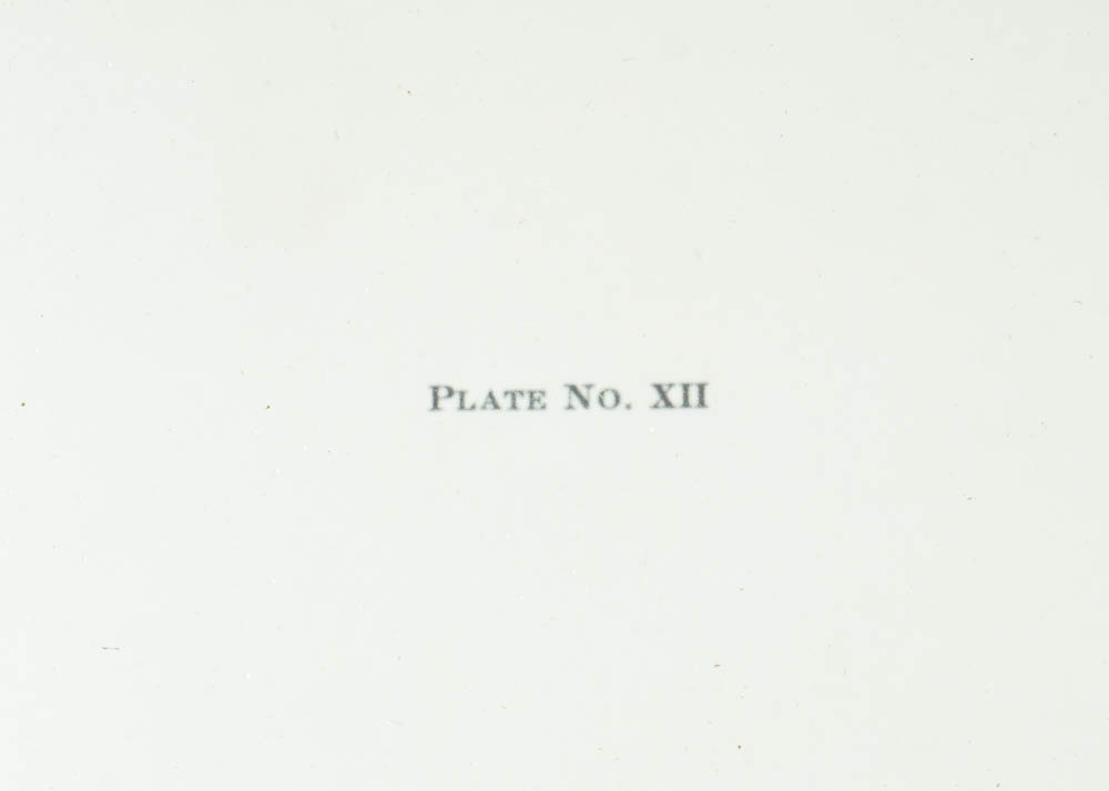 Framed and Signed Ray Harm Eastern Bob White Print