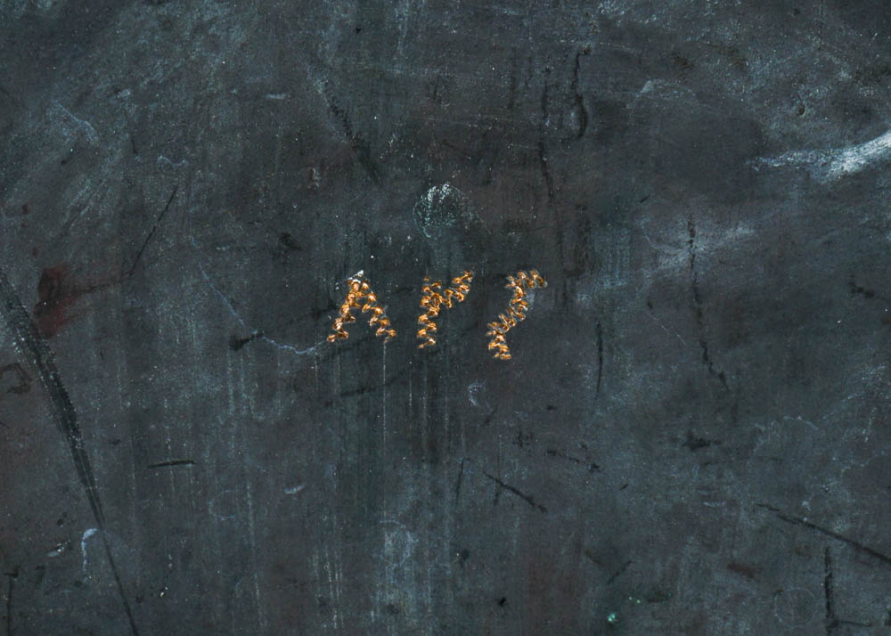 Large Etched Copper Platter
