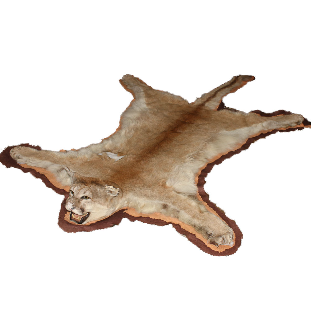 Small Cougar Pelt