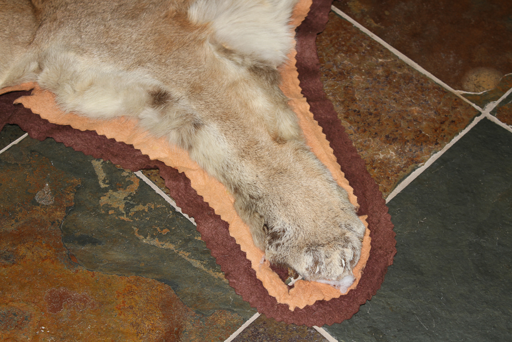 Small Cougar Pelt