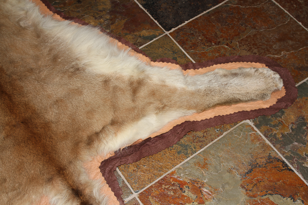 Small Cougar Pelt