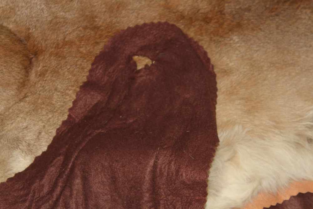 Small Cougar Pelt