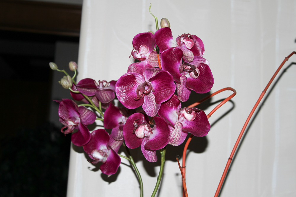 Iron Scrollwork Plant Stand