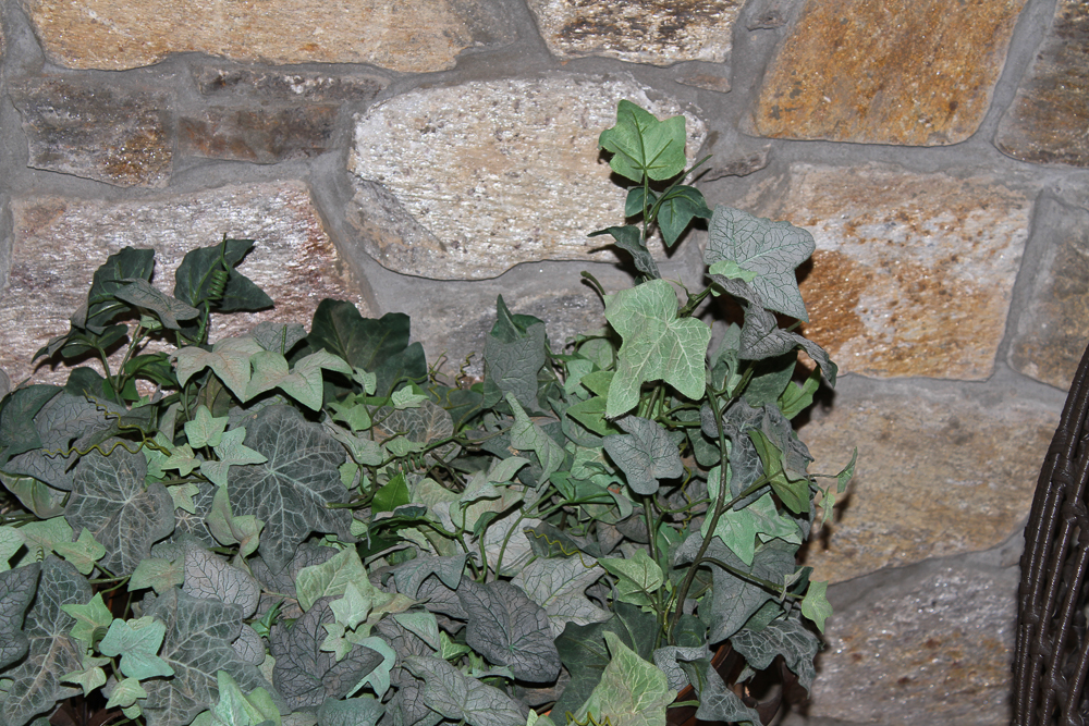 Decorative Metal Foliate Planter and Artificial Ivy