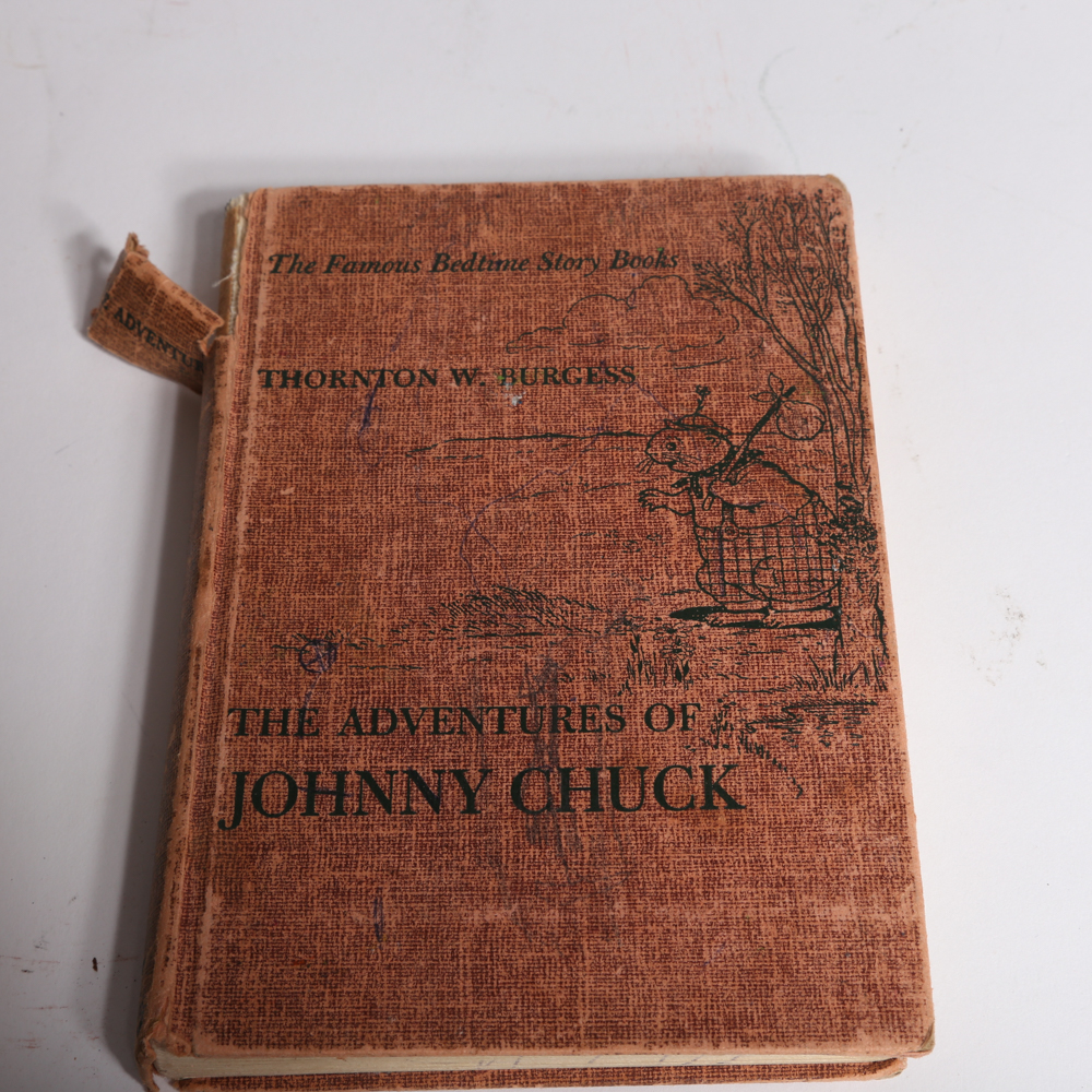 Assorted Vintage Children's Books