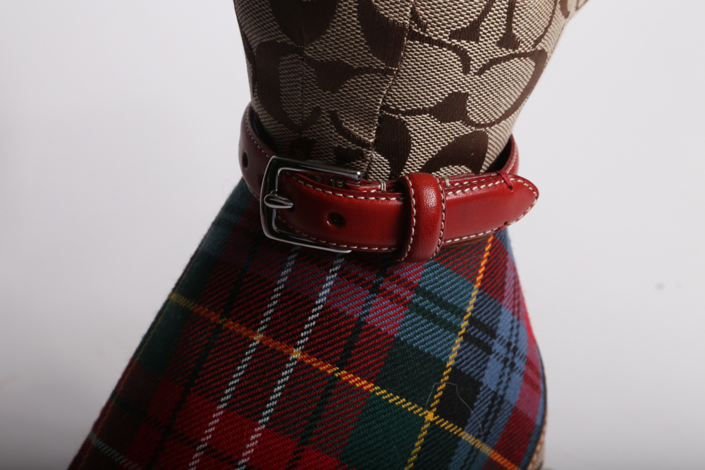 Coach Signature Plush Dog