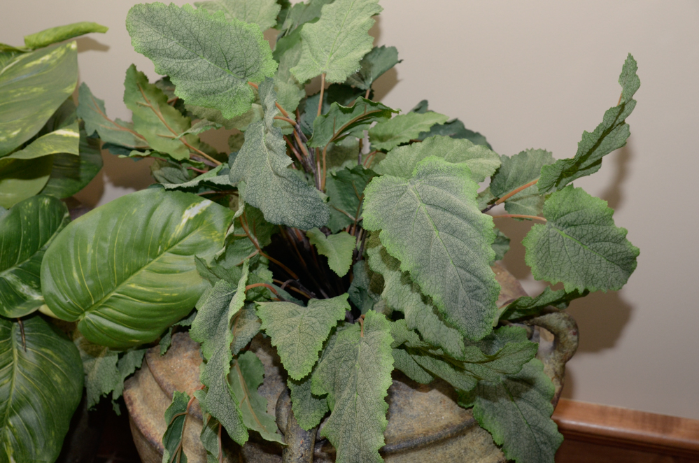 Pair of Ceramic Planters