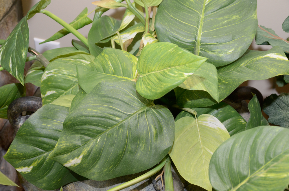 Pair of Ceramic Planters