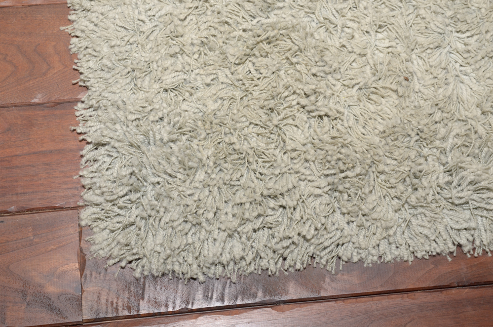 Pale Blue Shag Rug