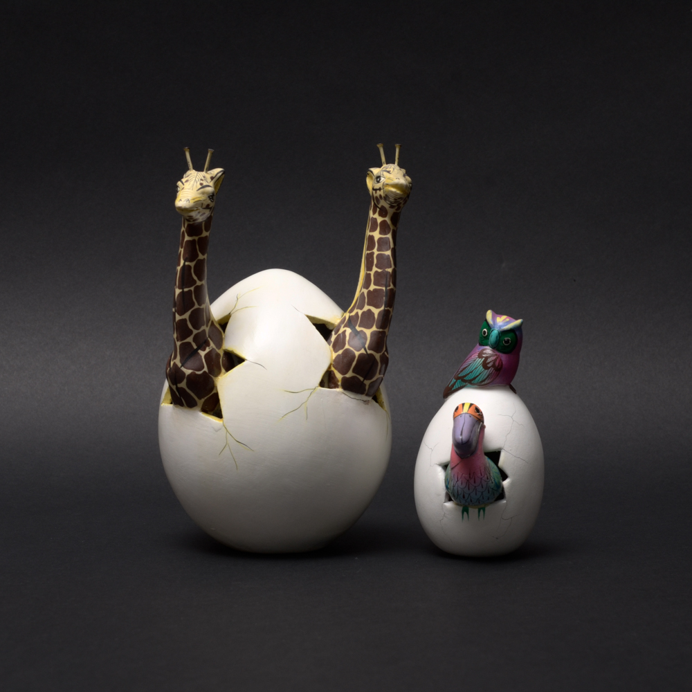 Mexican Tonala Hatchling Eggs