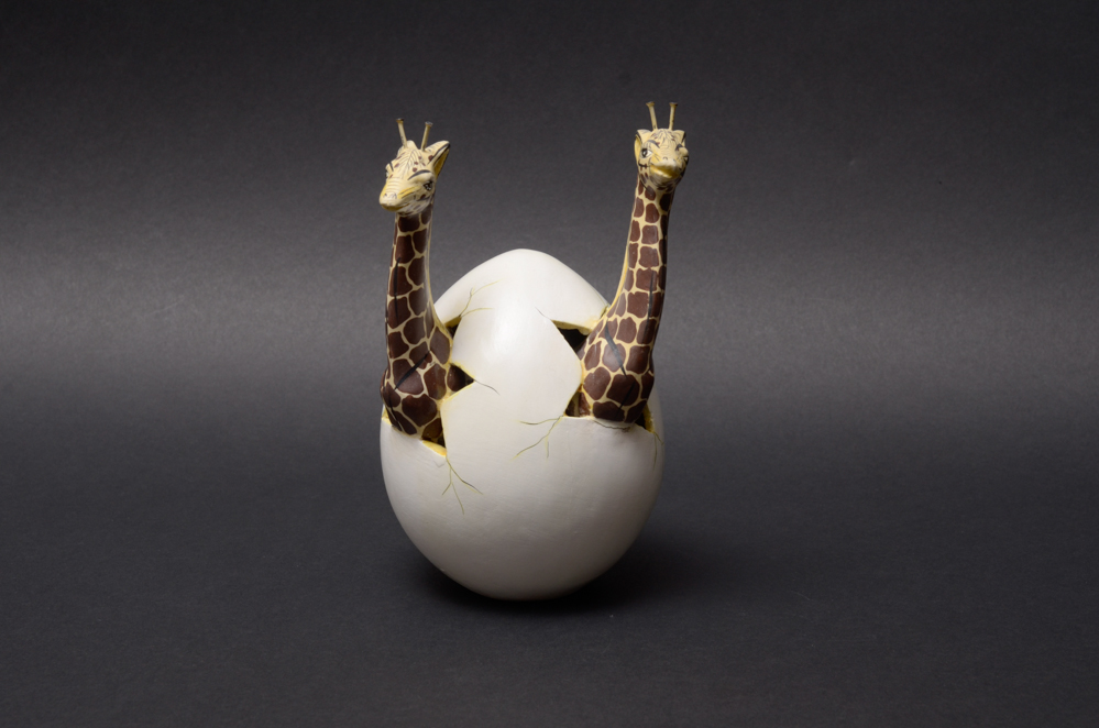 Mexican Tonala Hatchling Eggs