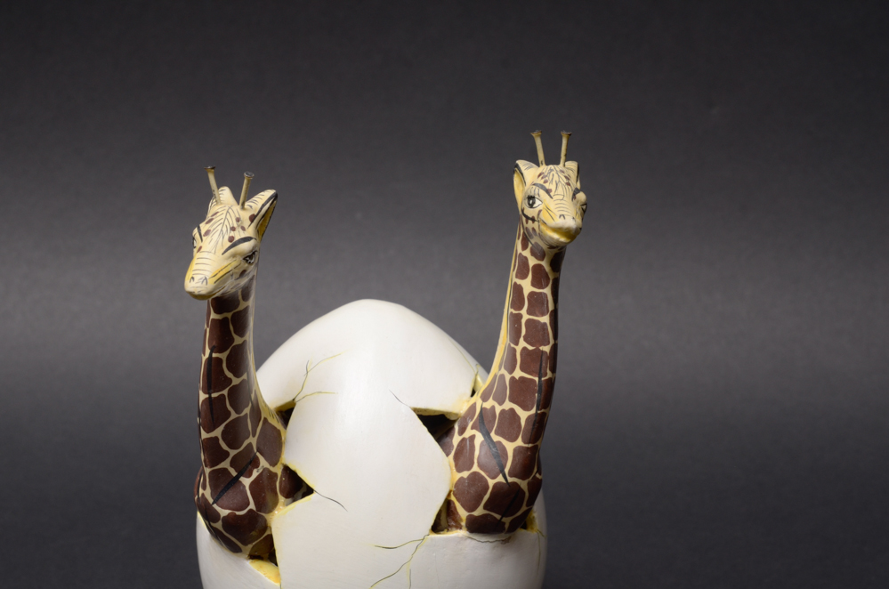 Mexican Tonala Hatchling Eggs