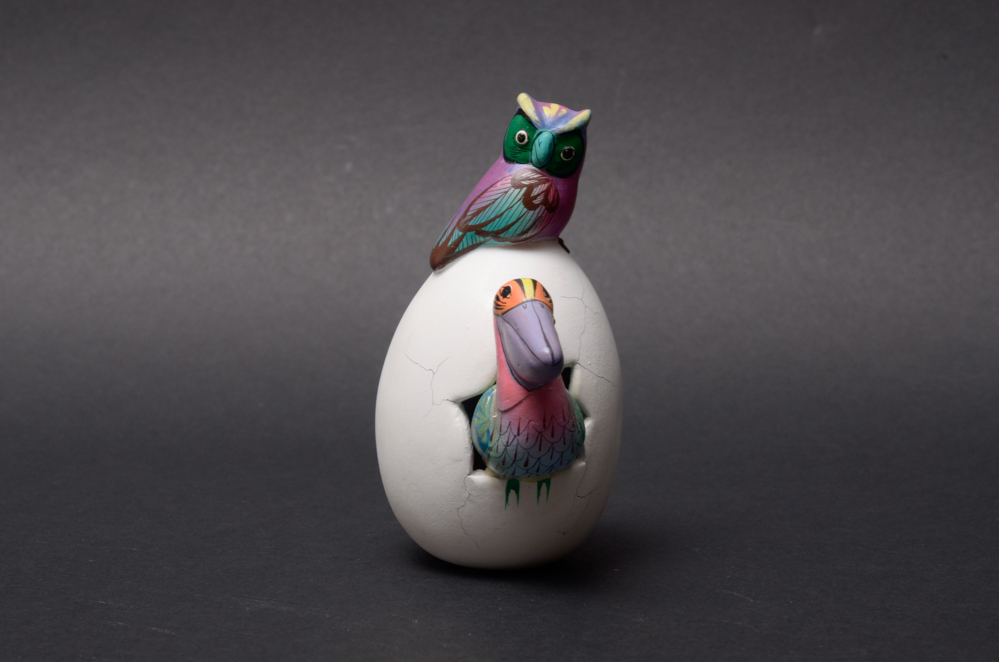 Mexican Tonala Hatchling Eggs