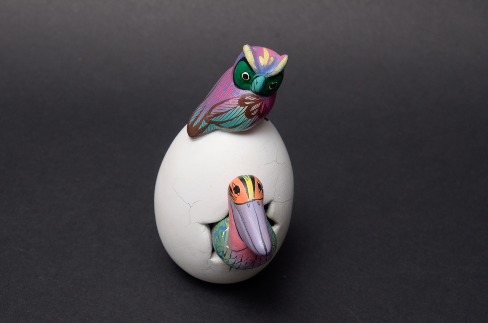 Mexican Tonala Hatchling Eggs