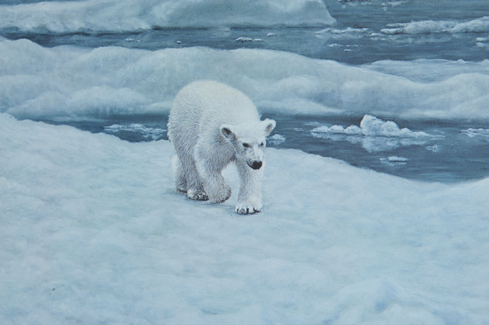 Charles Frace "Polar Bears" Signed Limited Edition Print