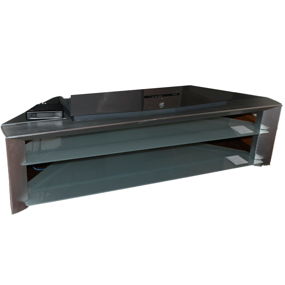 Contemporary Stainless Steel and Glass TV Stand