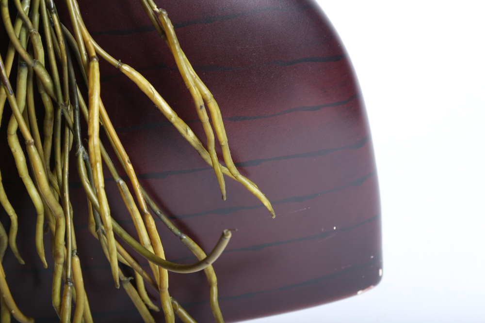 Assorted Ceramic Home Décor and Artificial Plants