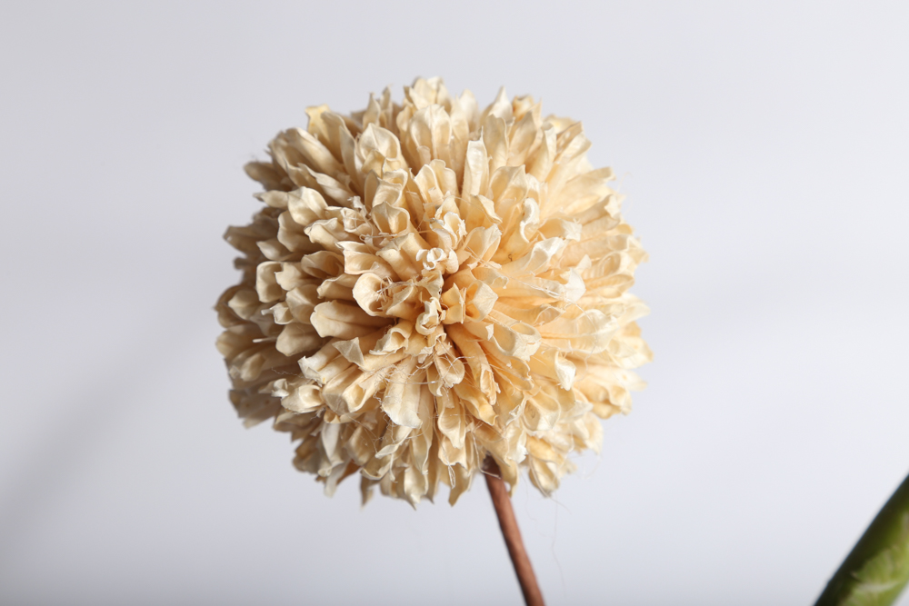 Assorted Ceramic Home Décor and Artificial Plants