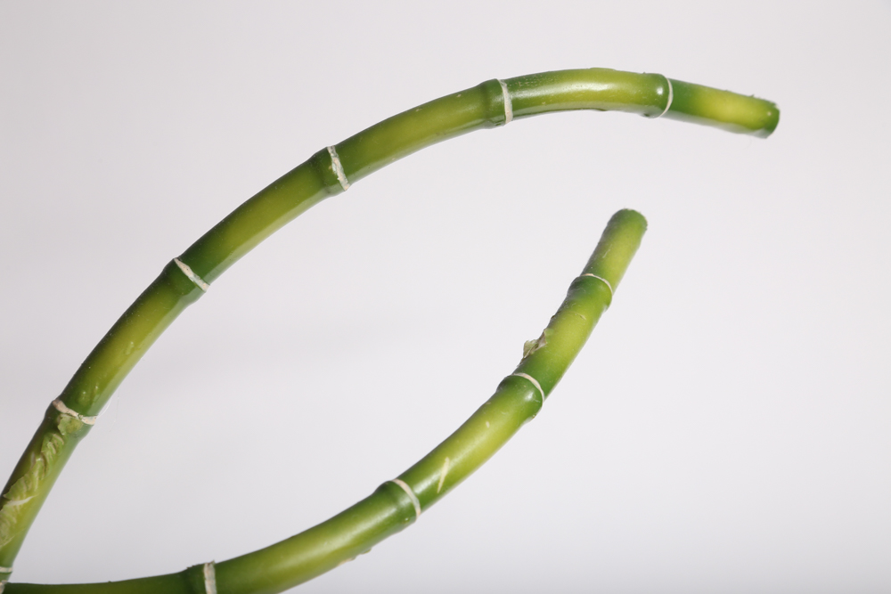 Assorted Ceramic Home Décor and Artificial Plants