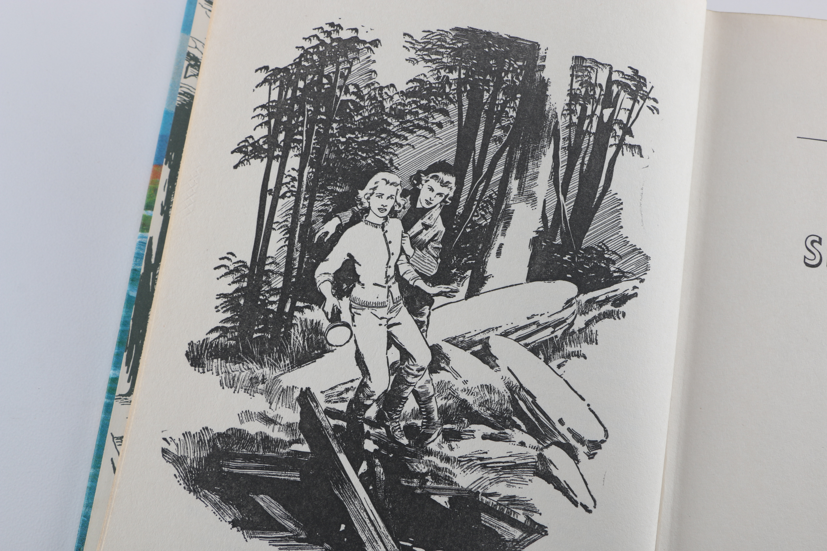 Assortment of Vintage Nancy Drew Books