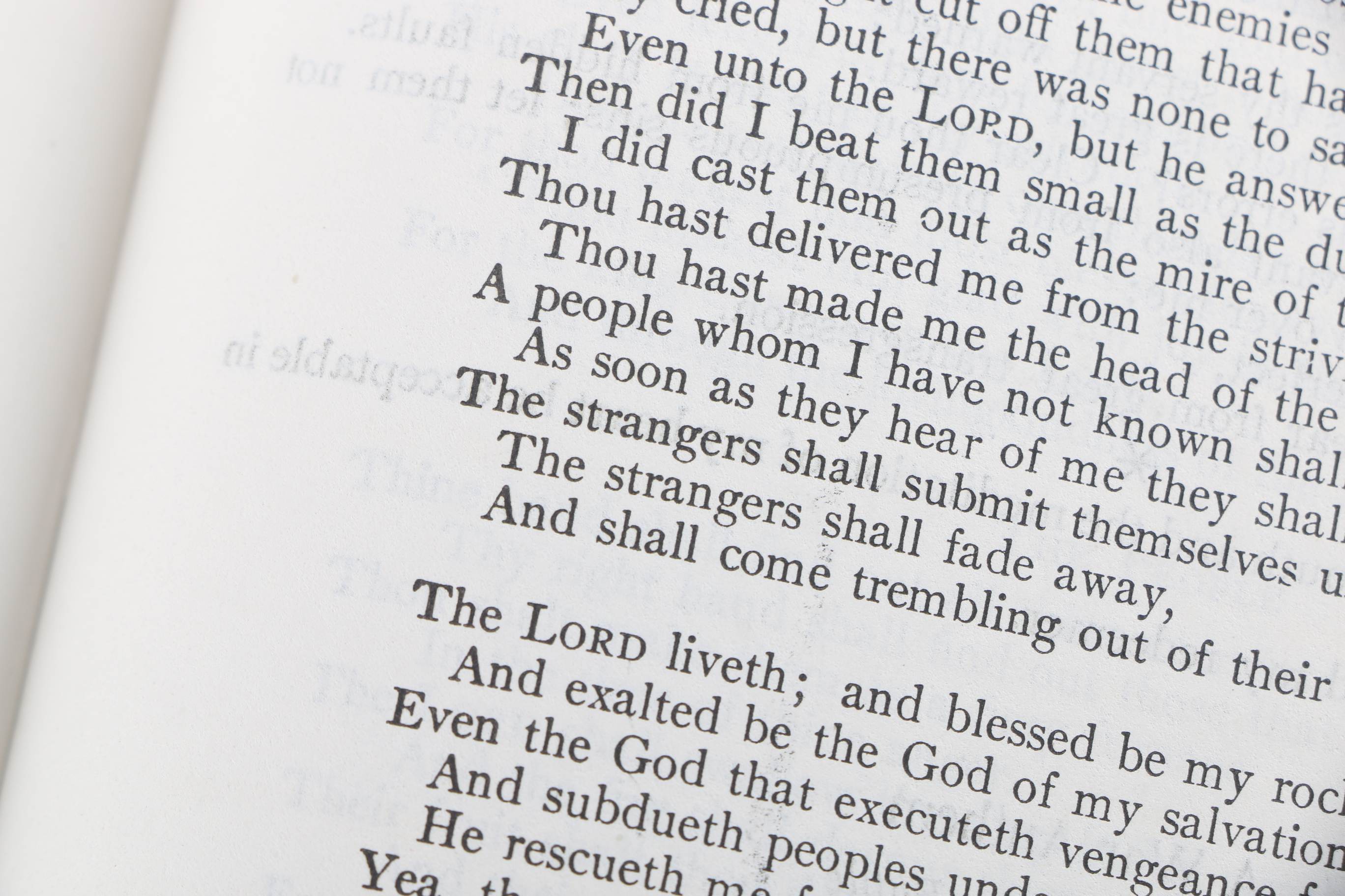 Variety of Antiquarian and Vintage Biblical Titles