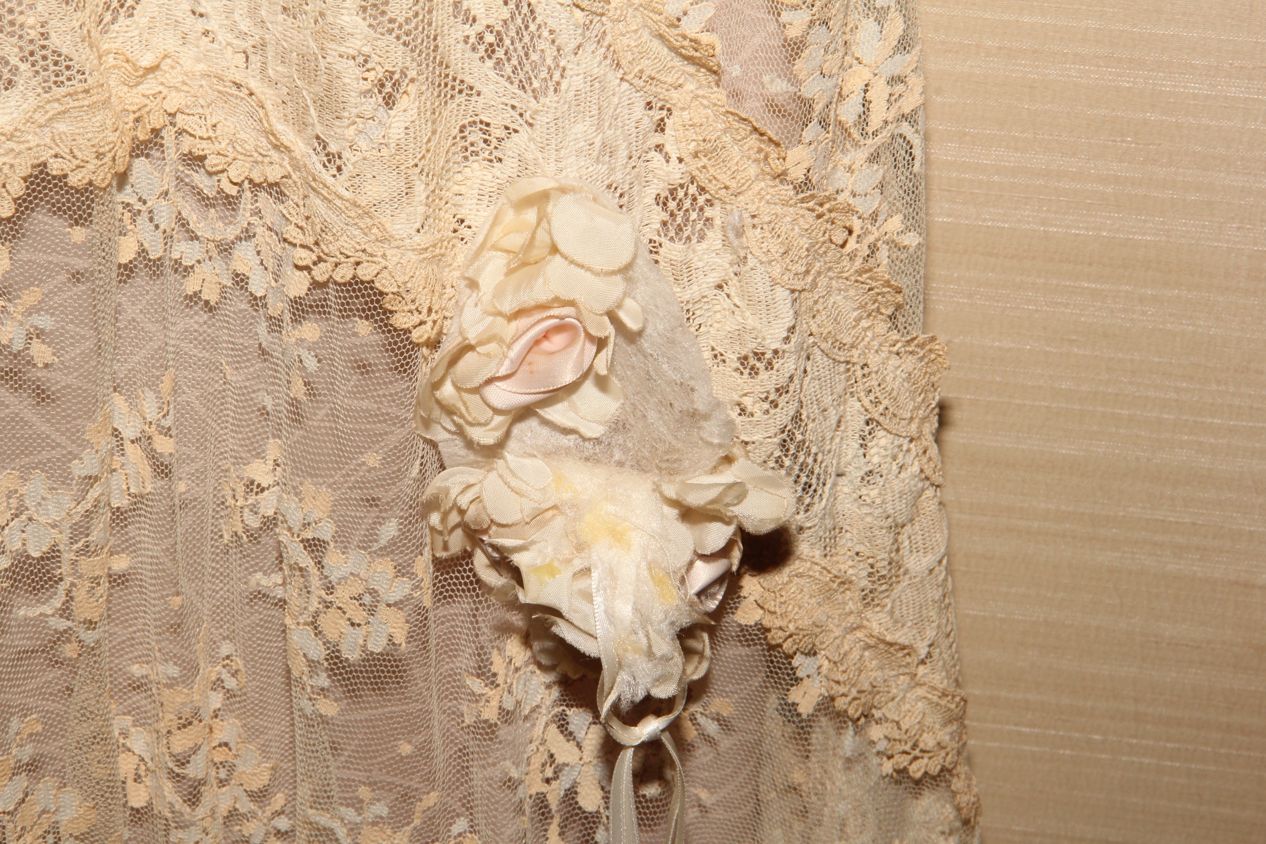 Country Elegance Lace Dress