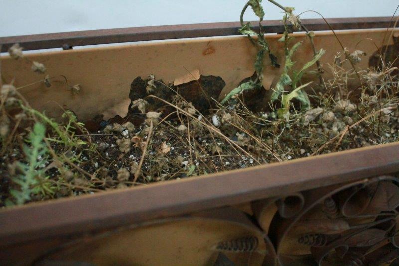 Wrought Iron Planter