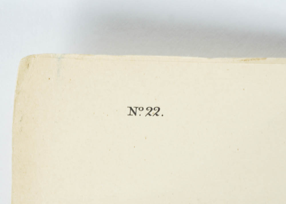 Unframed Audubon Canada Jay Print