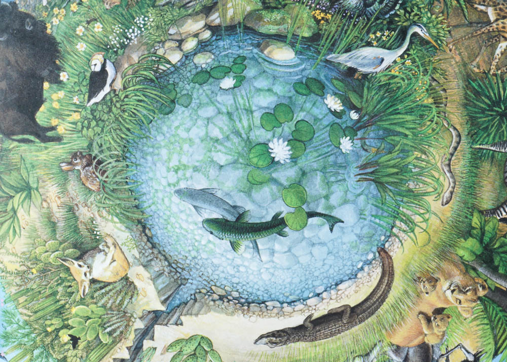 Collection of Vintage Posters