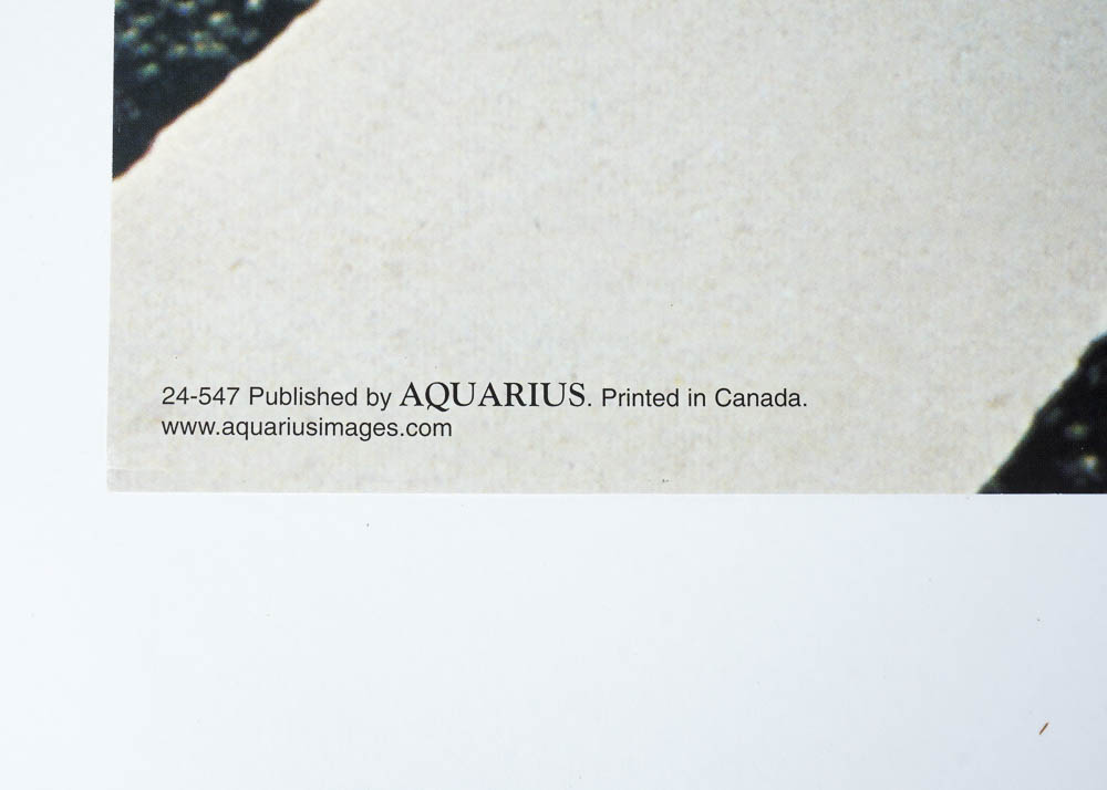 Collection of Vintage Posters