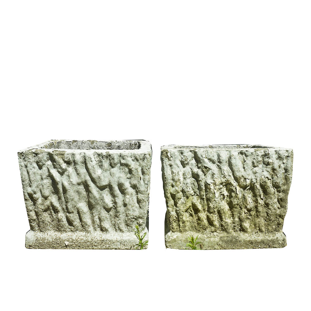 Two Concrete Planters
