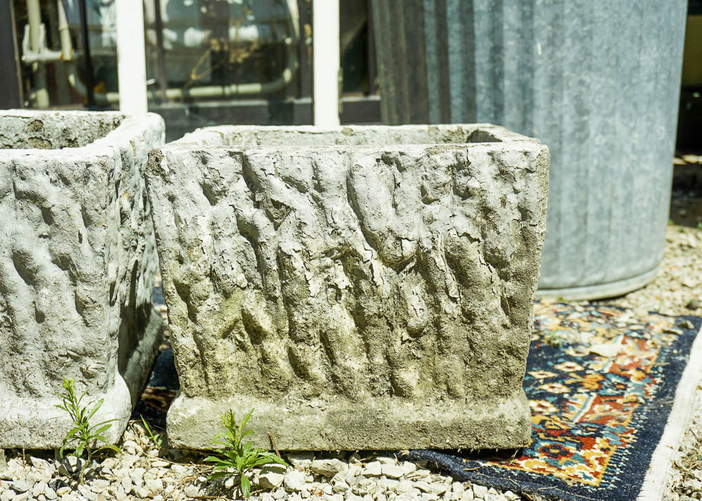 Two Concrete Planters