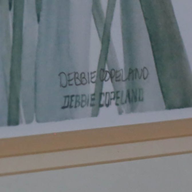 Two Prints by Debbie Copeland