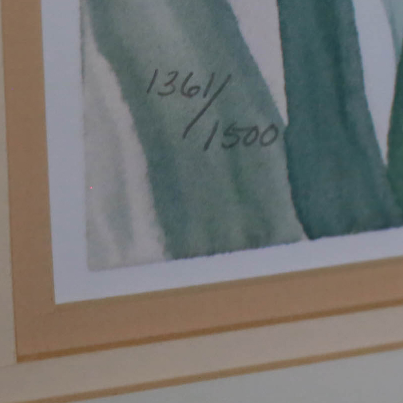 Two Prints by Debbie Copeland