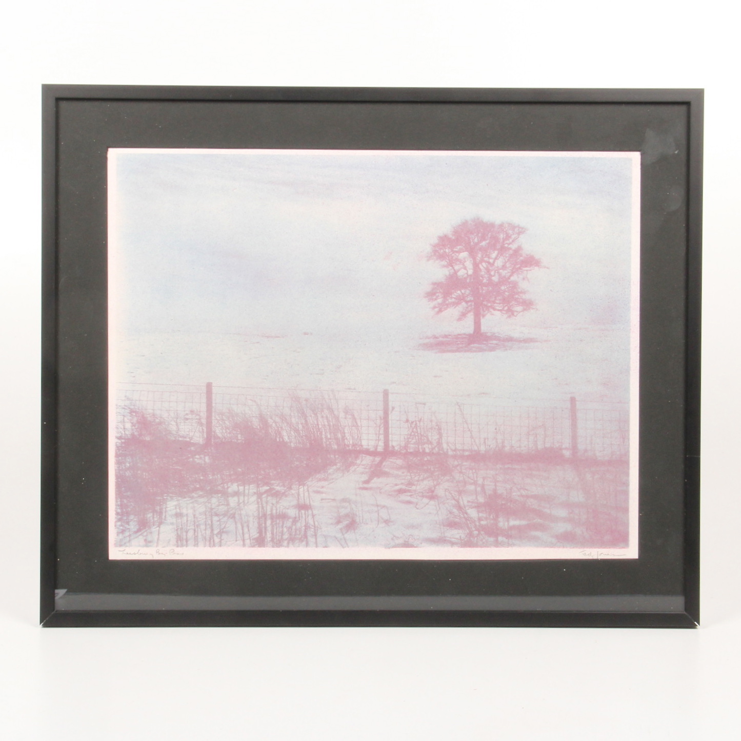 Ted Jones Gum Bichromatic Photographic Print