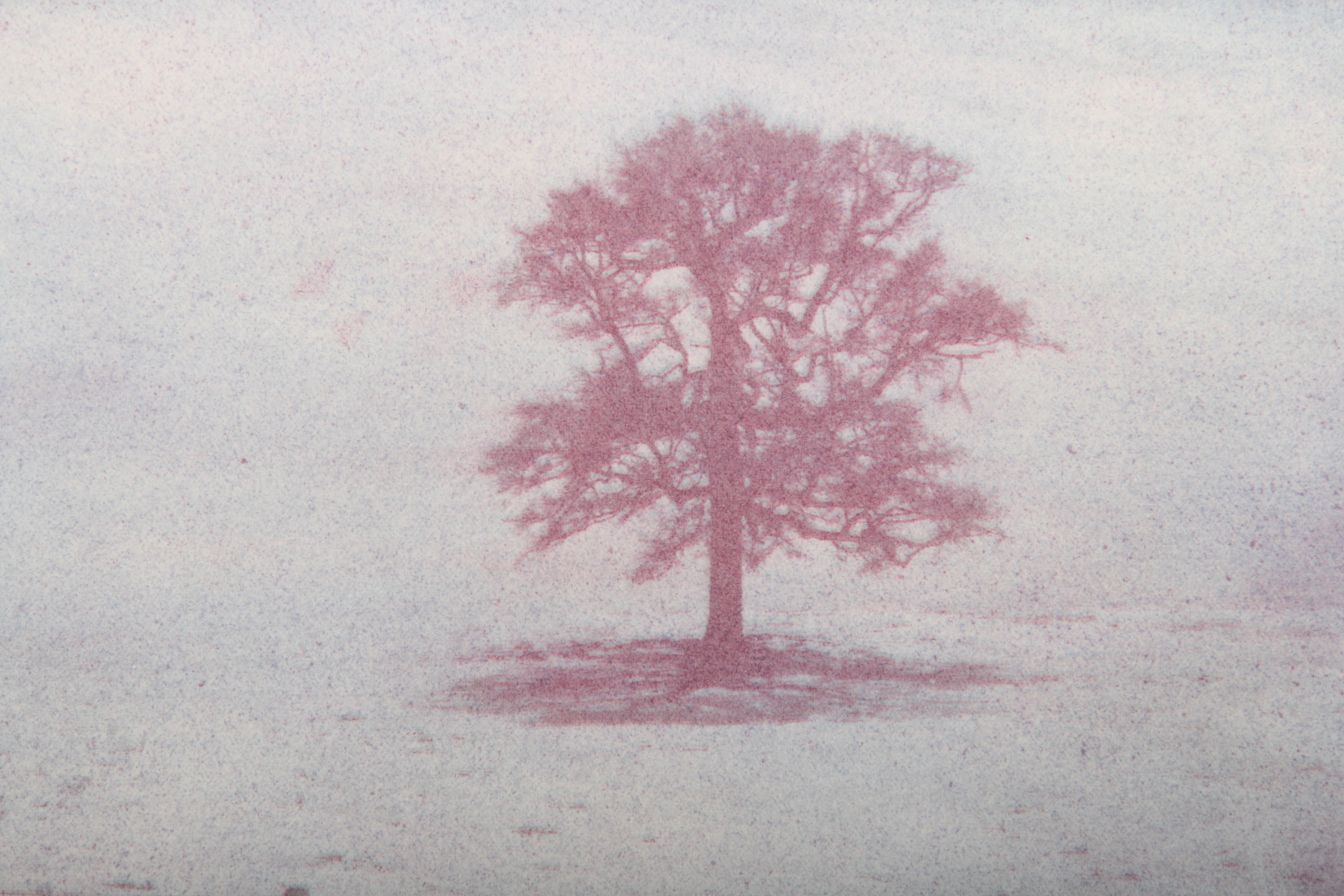 Ted Jones Gum Bichromatic Photographic Print