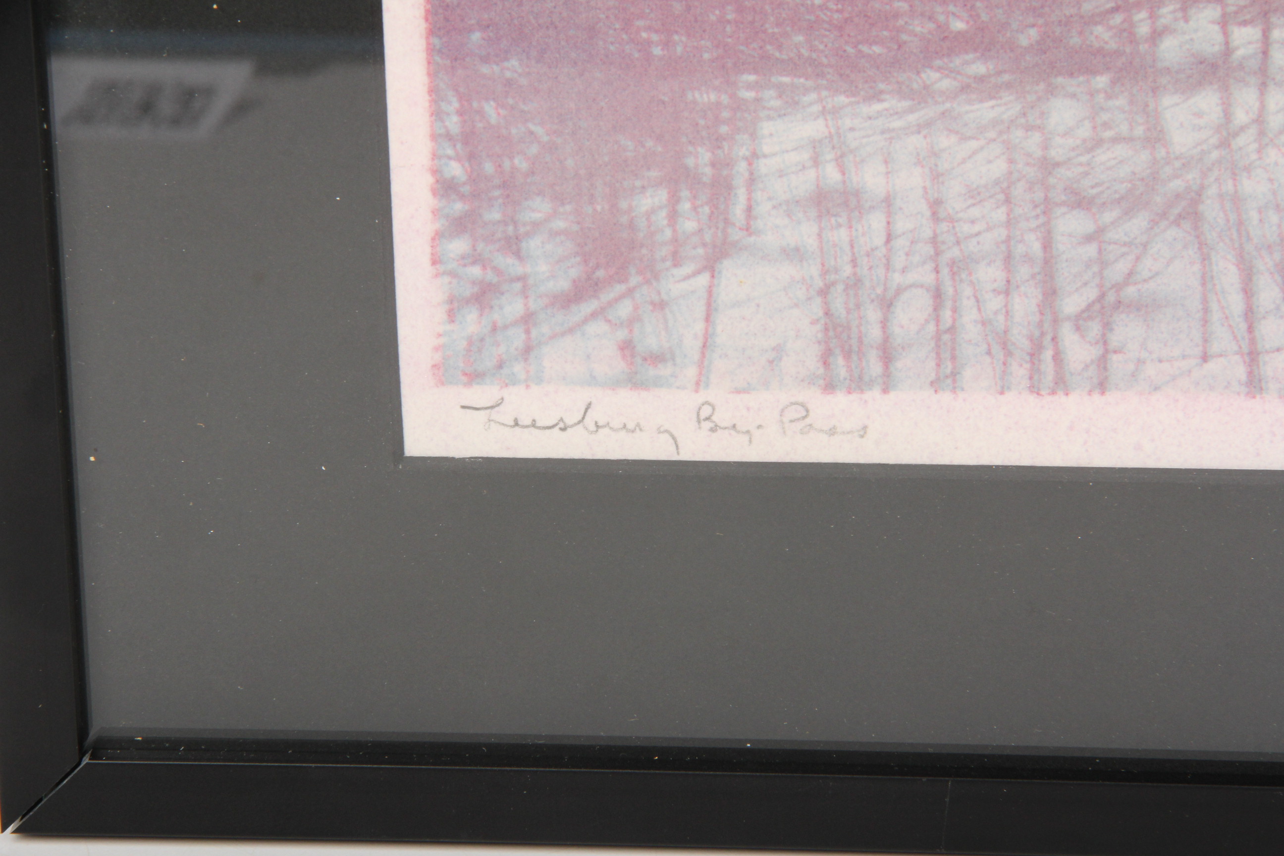 Ted Jones Gum Bichromatic Photographic Print