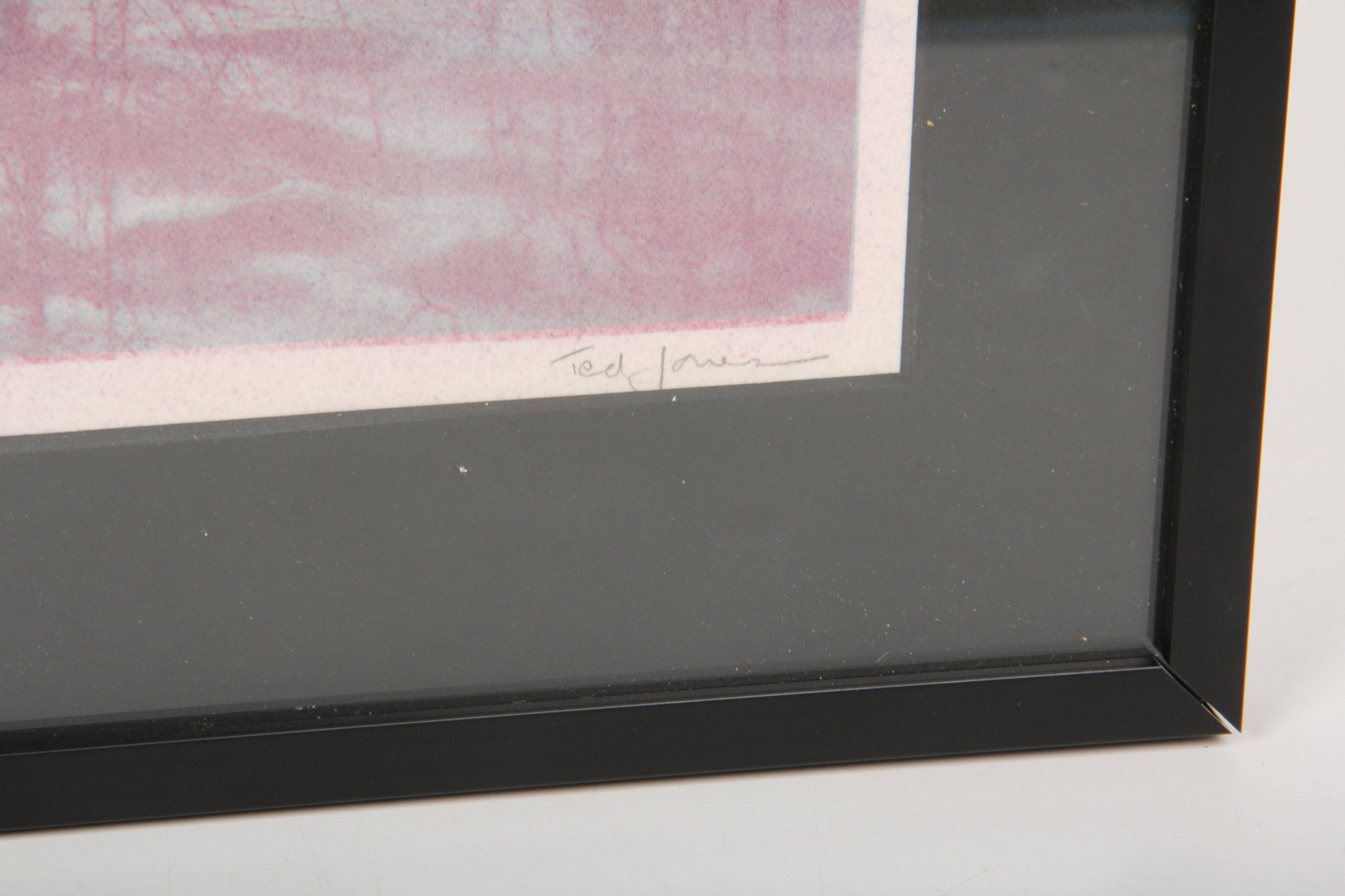 Ted Jones Gum Bichromatic Photographic Print