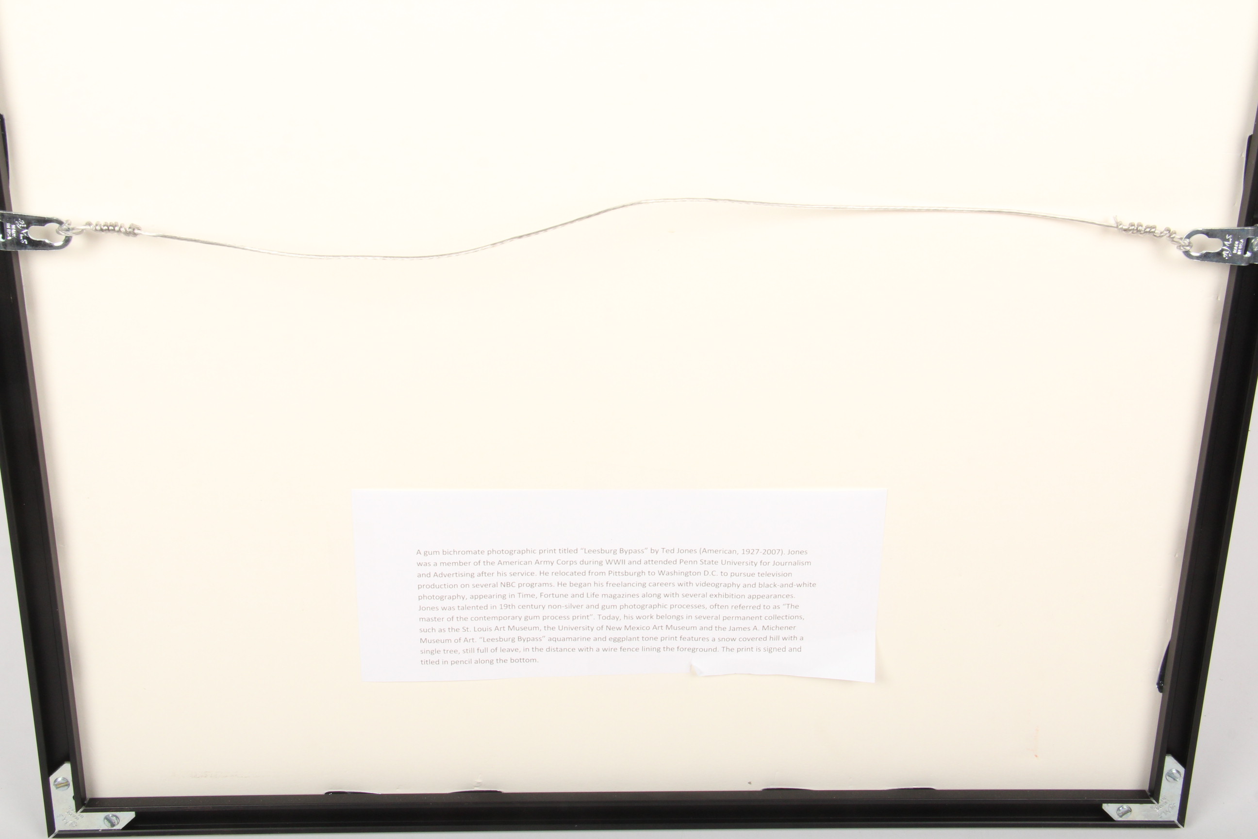 Ted Jones Gum Bichromatic Photographic Print