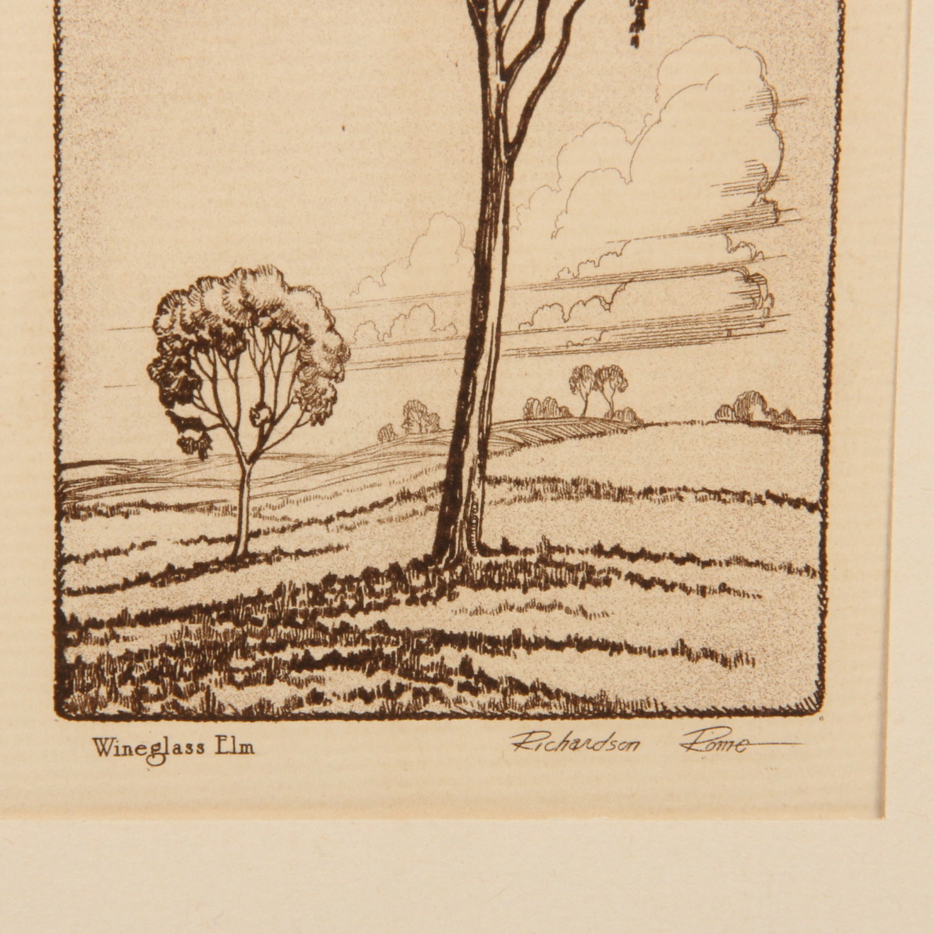 Richardson Rome "Wineglass Elm" Etching