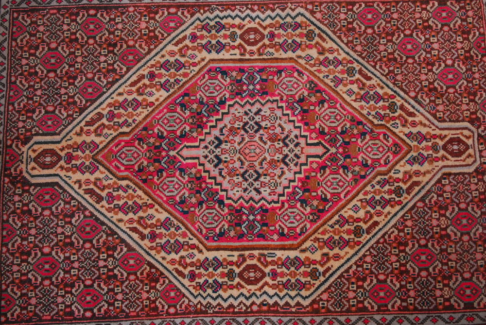 Hand Woven Hamadan Area Rug