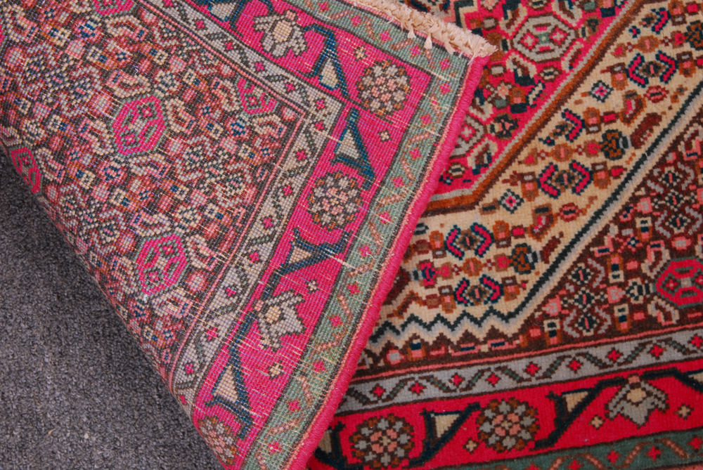 Hand Woven Hamadan Area Rug