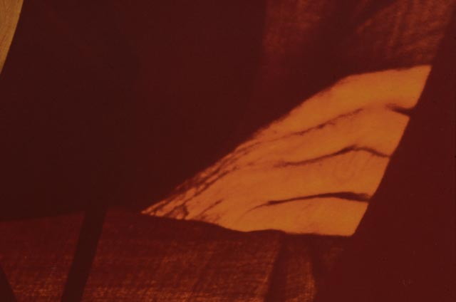 Herman Miller Eames Giclee Poster Designed and Signed by Brian Edlefson