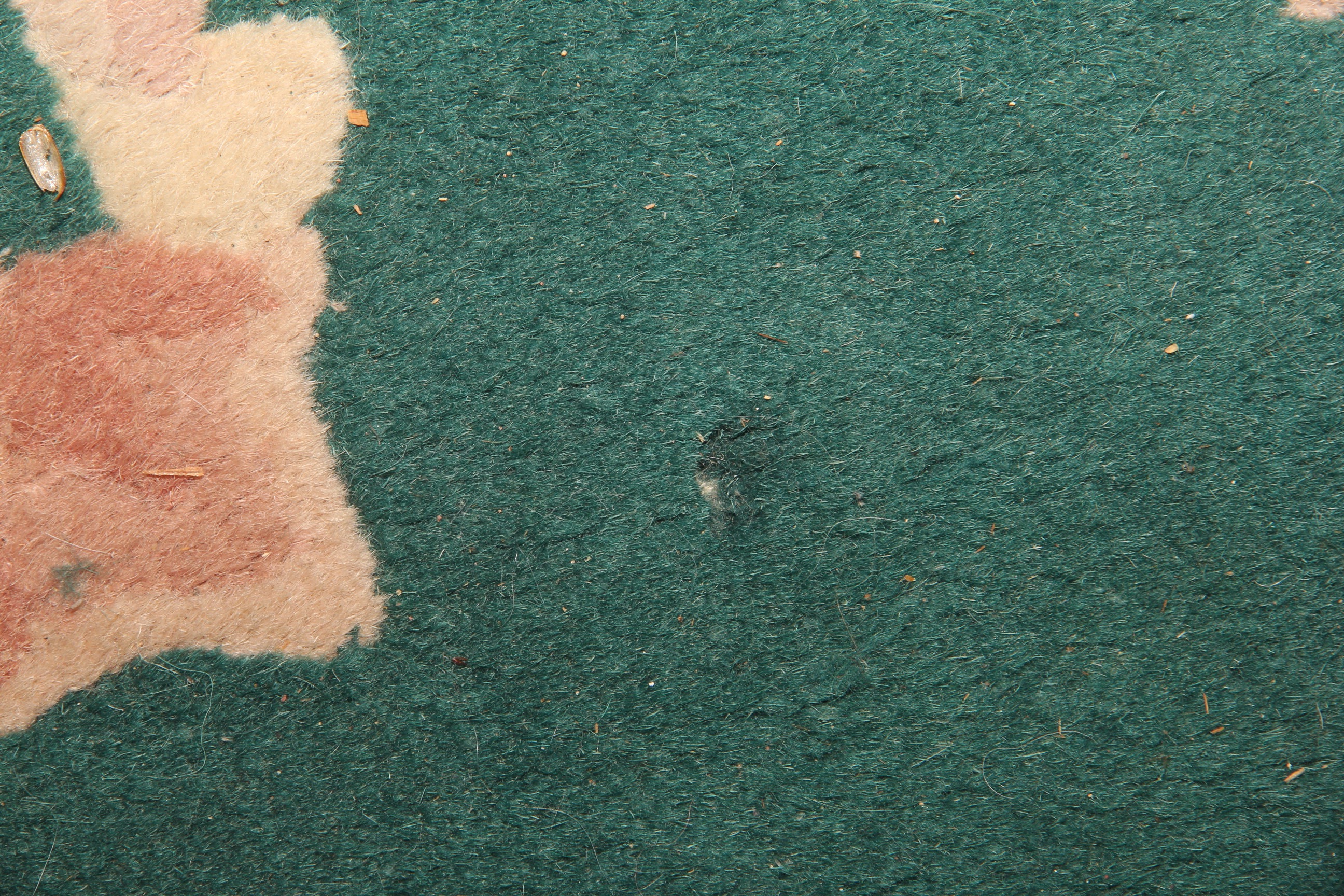 Chinese "Peking Collection" 100% Wool Pile Rug