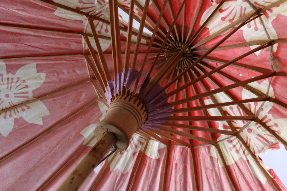 Parasols and Umbrellas